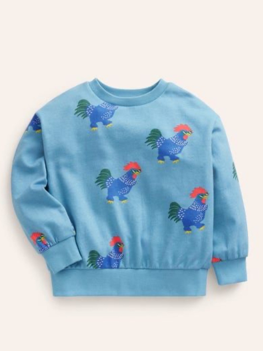Mini Boden Printed Relaxed Sweatshirt Pavillion Blue
Cockerels Size 9-10Y